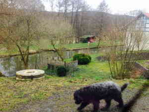 Ronja fährt auch mit!